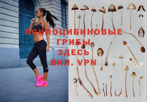 ешки Медвежьегорск