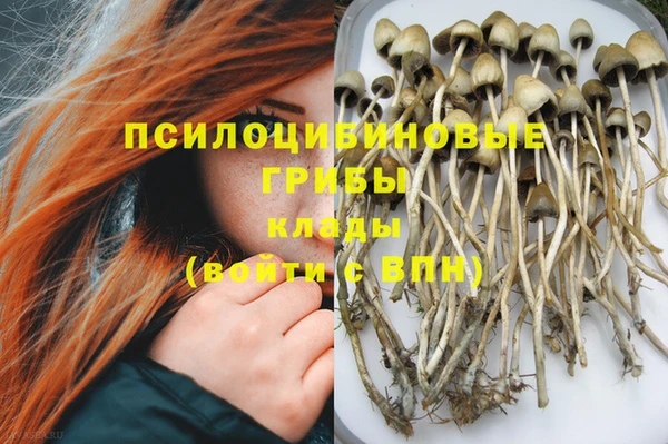 ешки Медвежьегорск
