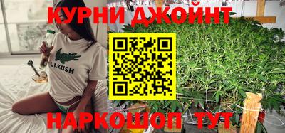 стаф Канаш
