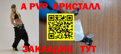 стаф Канаш
