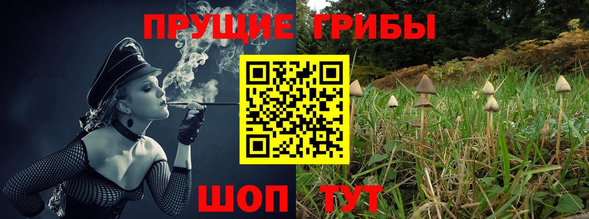 Псилоцибиновые грибы Cubensis  Вход с VPN  Миасс  Галлюциногенные грибы мицелий 